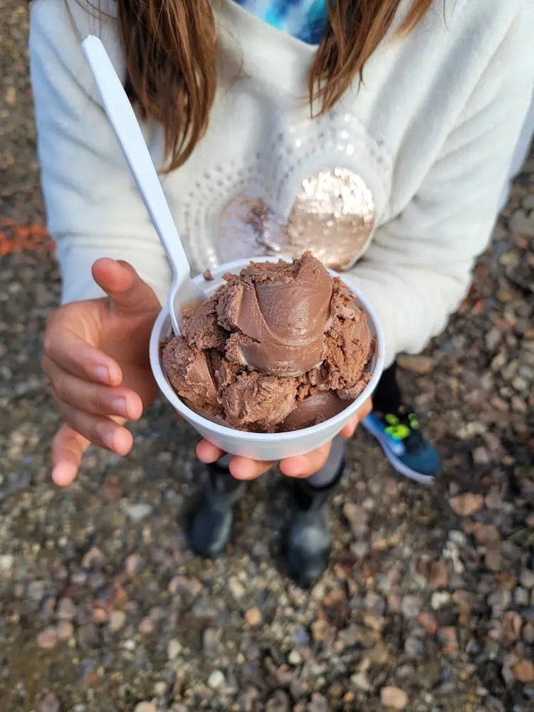 Chocolate Single Scoop Ice Cream